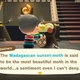 Image for article titled I Finally Found A Bug Blathers Doesn’t Hate In Animal Crossing: New Horizons